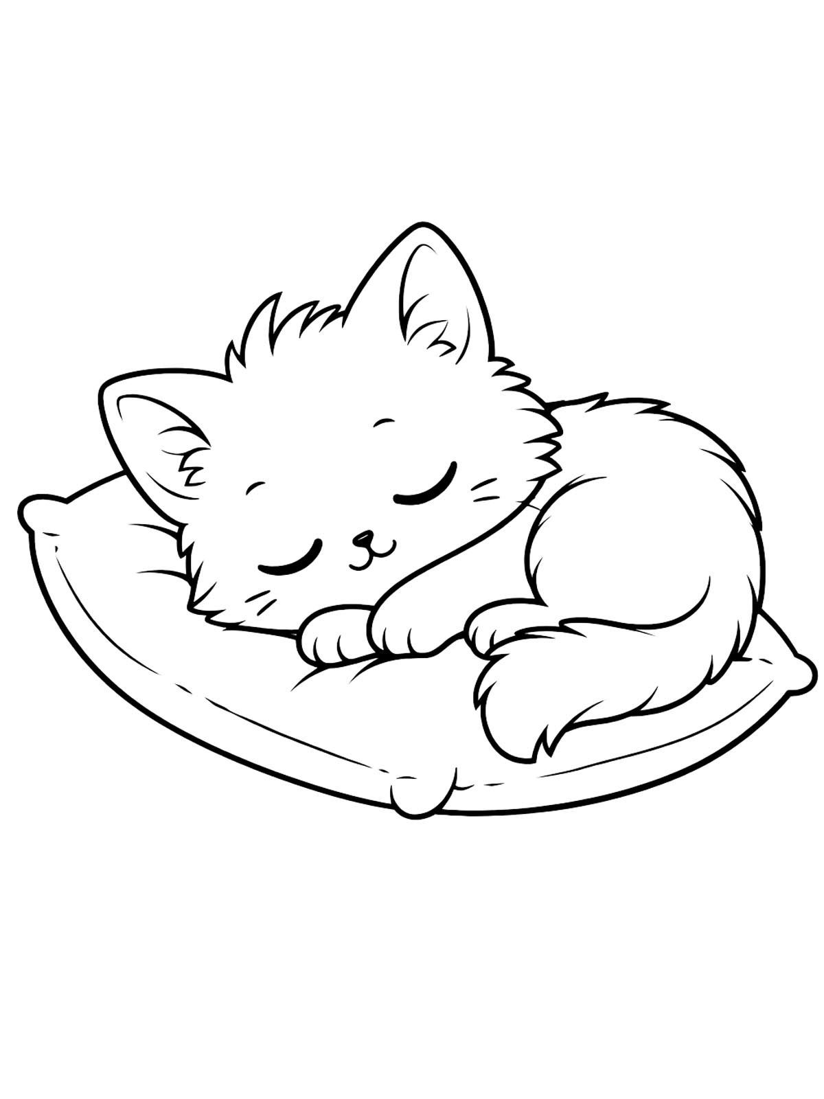 Котенок спит
