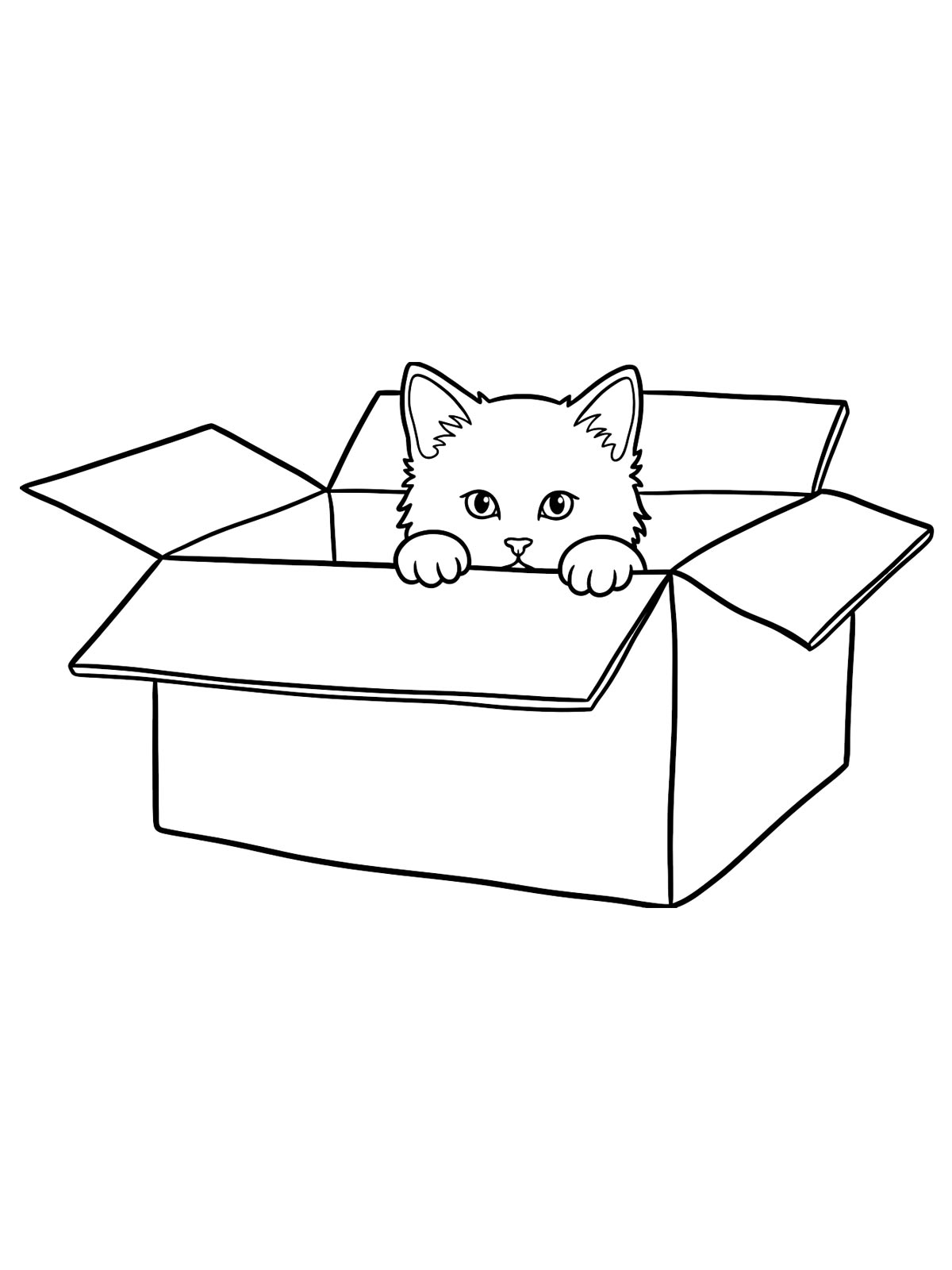 Котенок в коробке