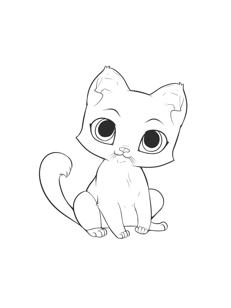 Котик присел
