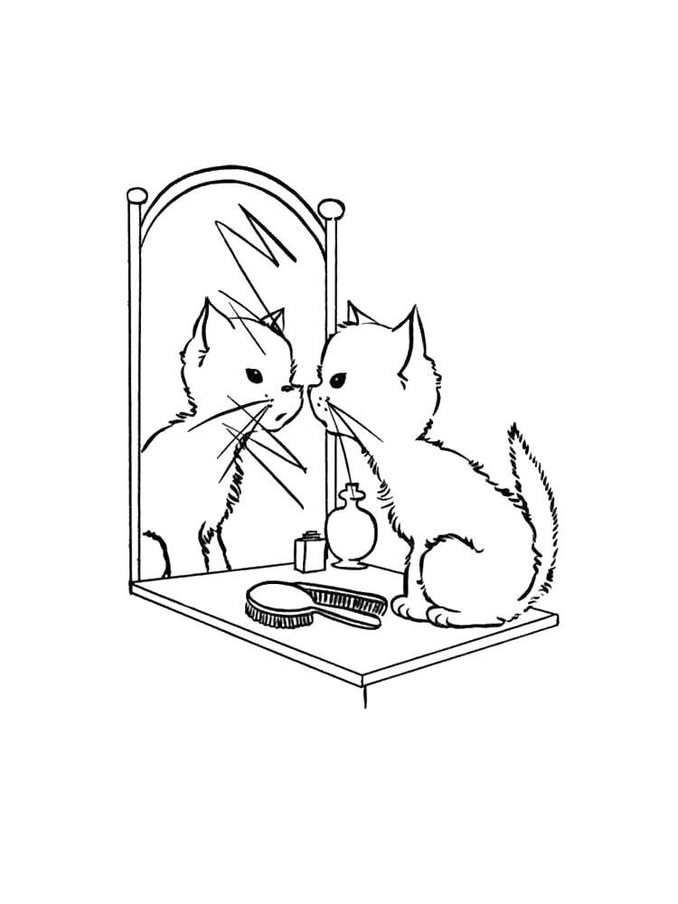 Котик смотрит в зеркало