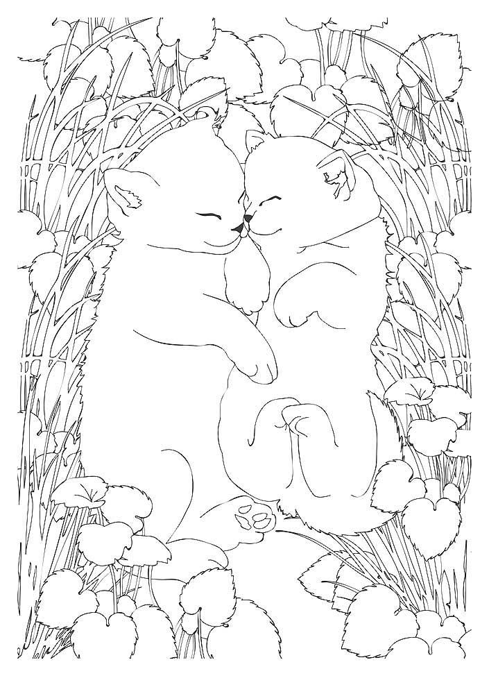 Котики 2