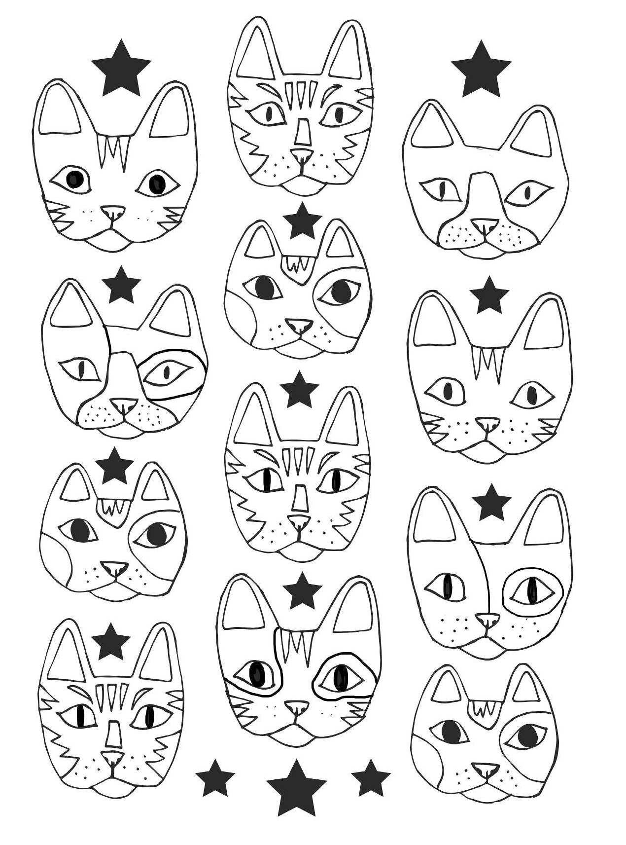 коты