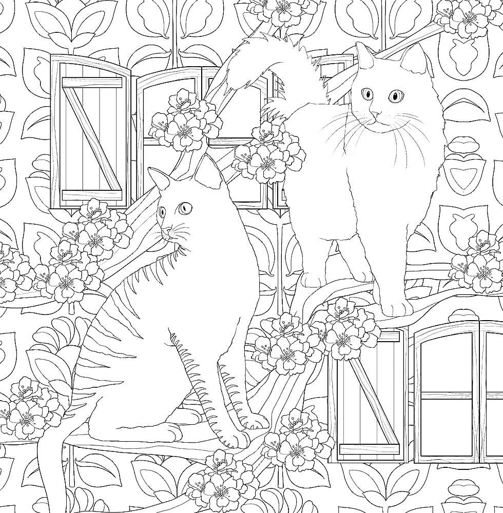 Коты на окнах