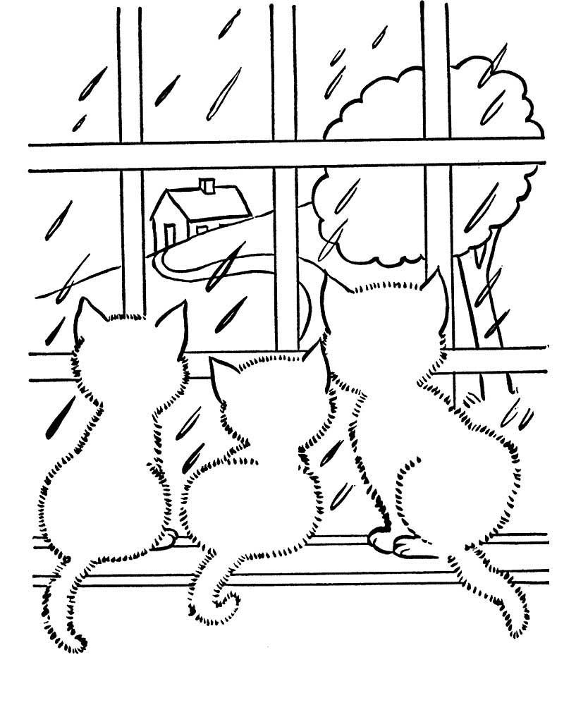 Коты на окне 2