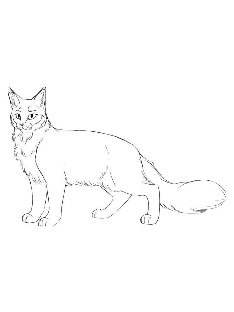 Коты воители черно-белая раскраска