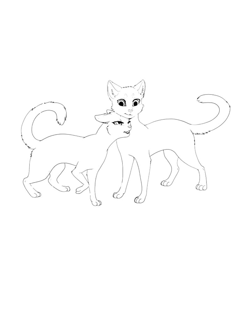 Коты воители раскраска для детей
