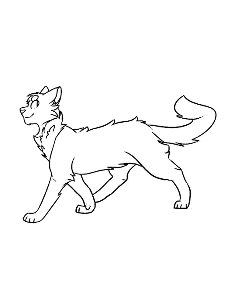 Коты воители рисунок для раскрашивания 2