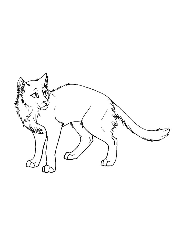 Коты воители рисунок для раскрашивания