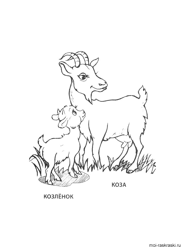 Коза и козленок 2