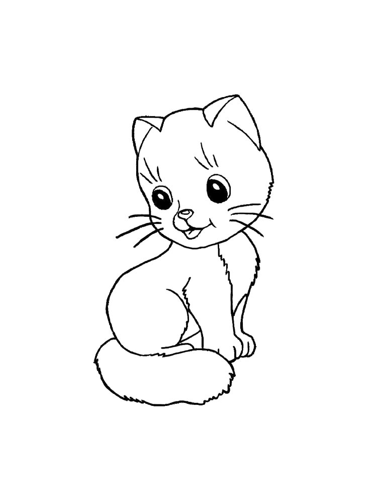 Красивая кошечка