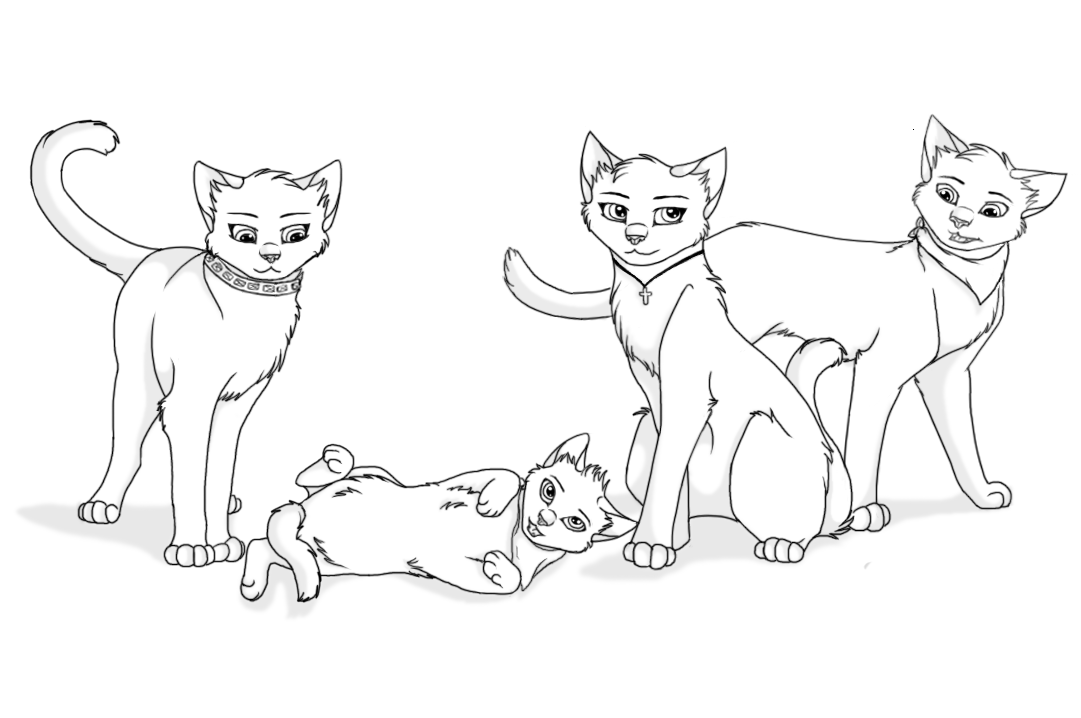 Красивые коты воители