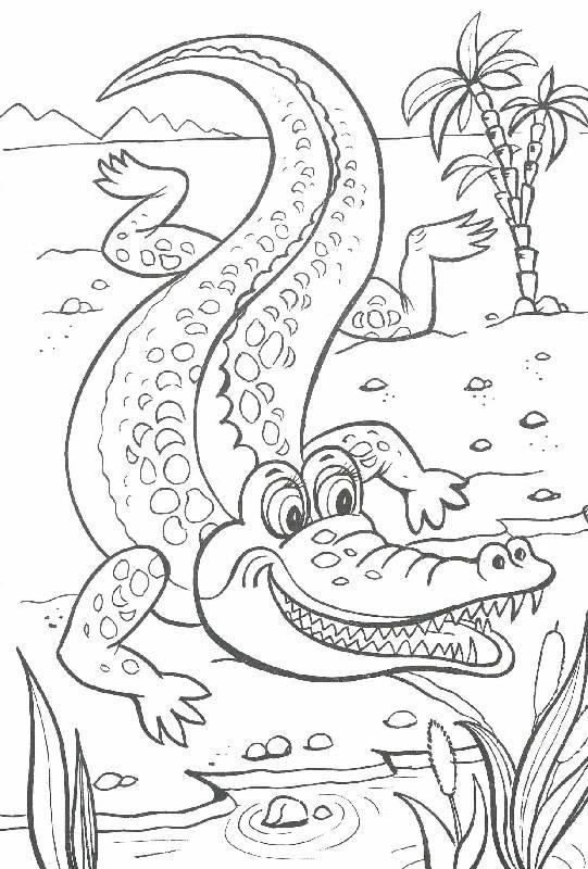 Крокодил 2