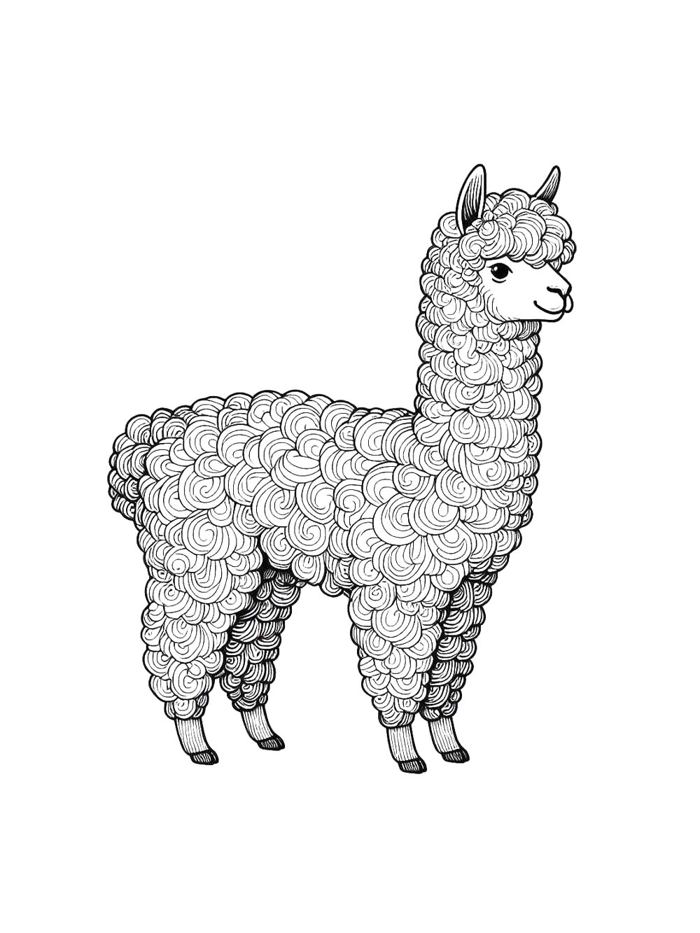 Кудрявая Альпака