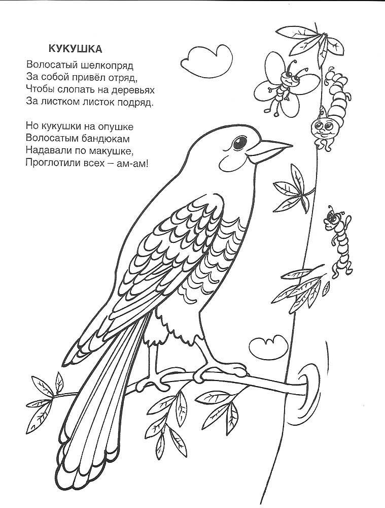 Кукушка с бабочками