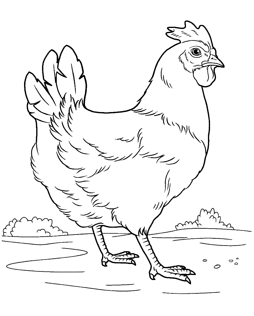 Курочка
