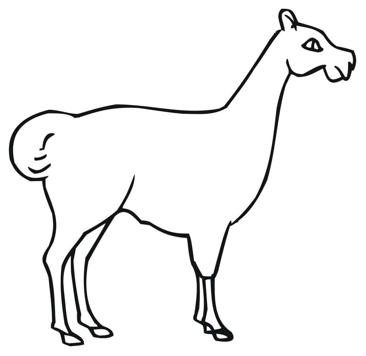 Лама 2