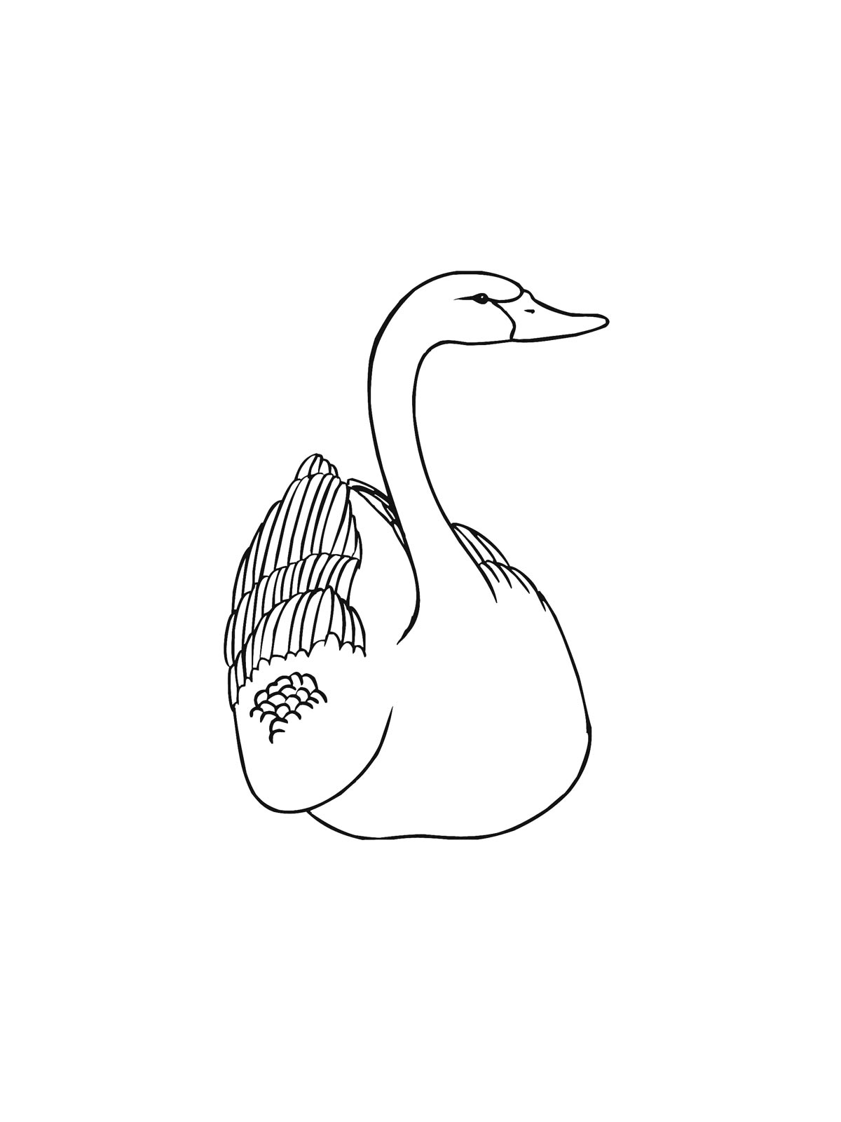 Лебедь рисунок для раскрашивания