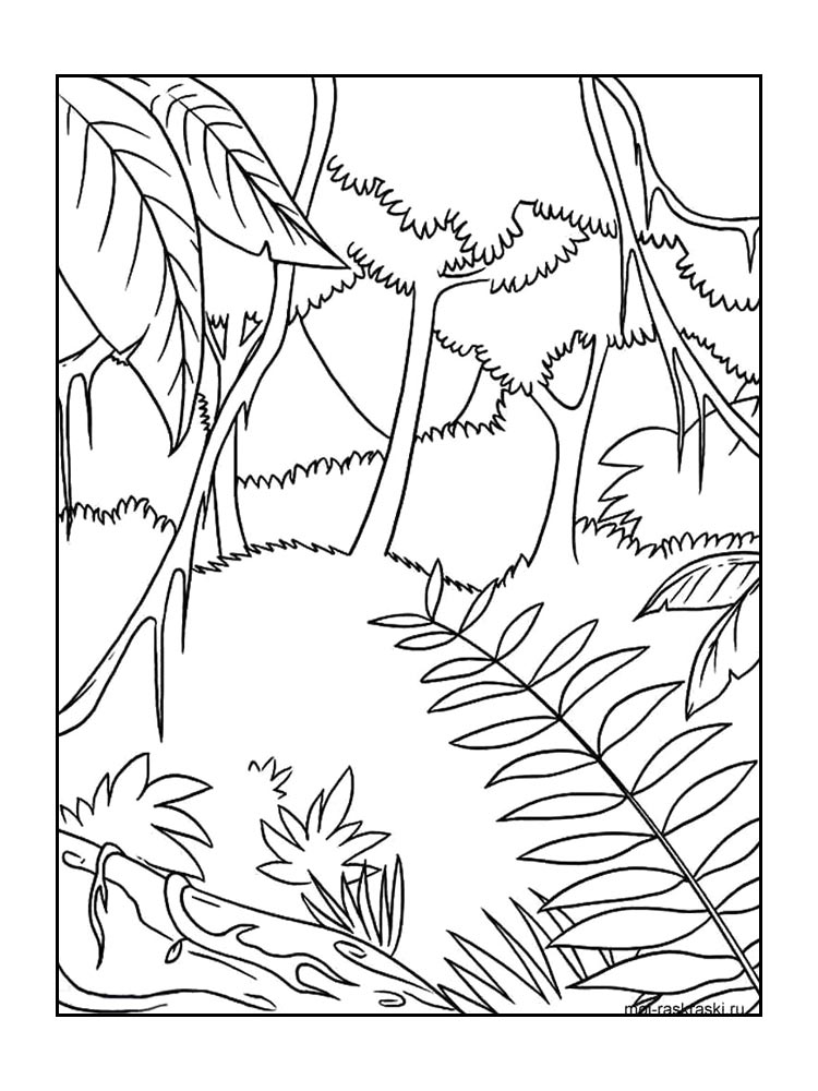 Лес рисунок для раскрашивания 3