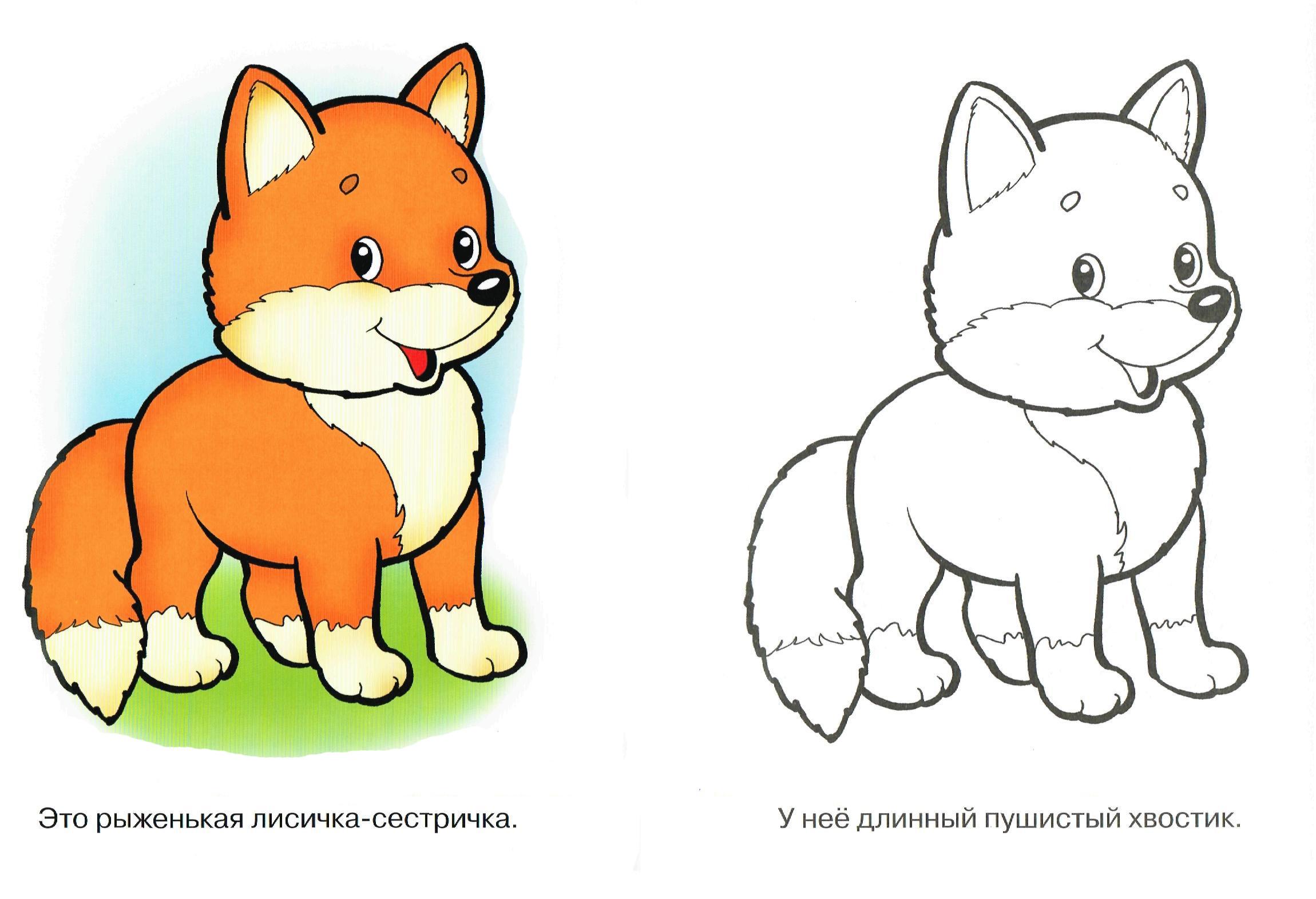Лиса идет по следу