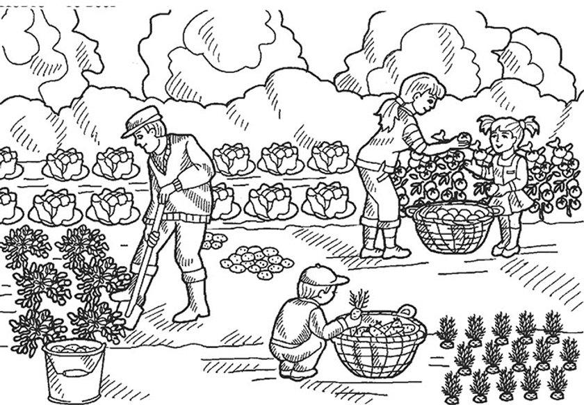 Люди собирают урожай