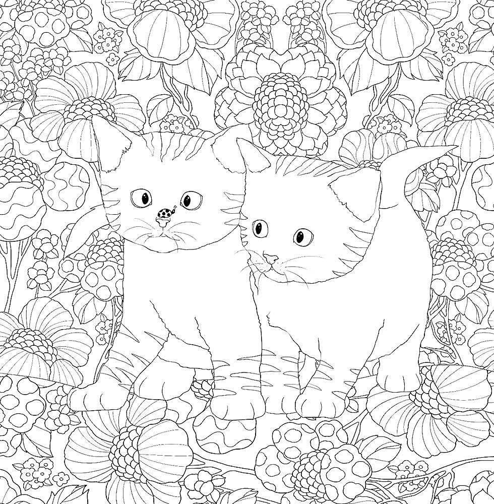 Маленькие котики