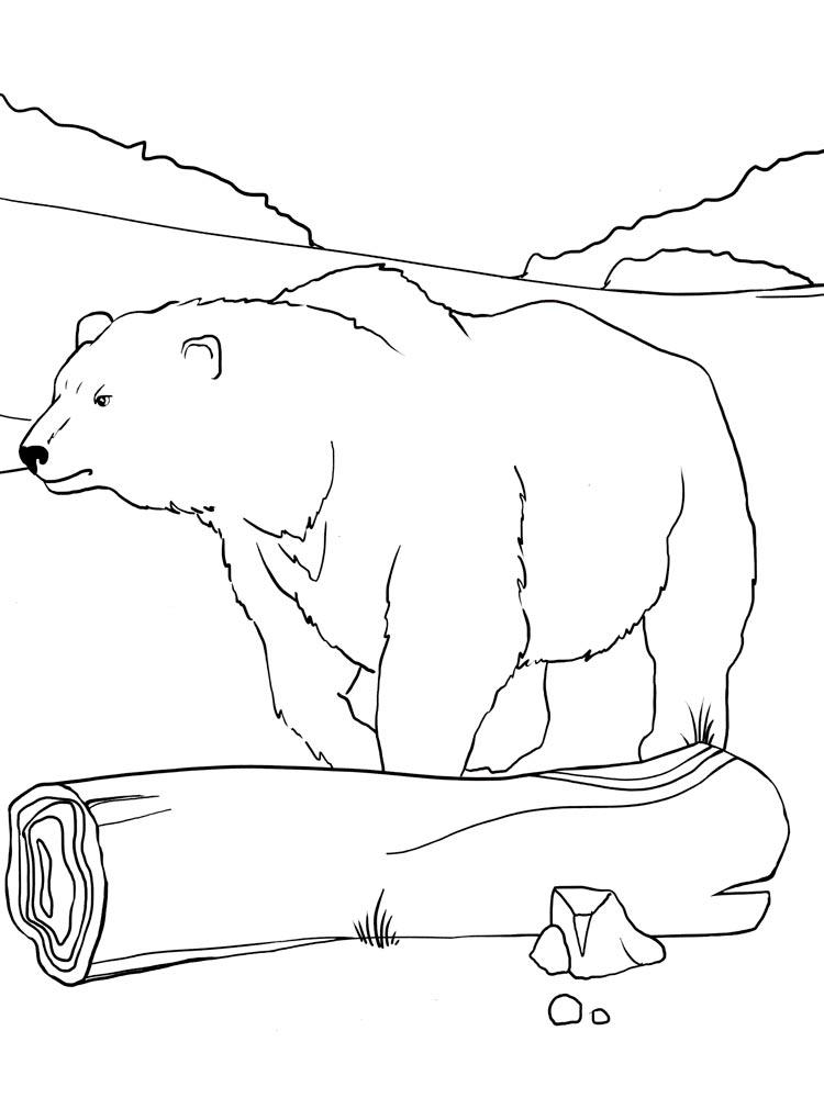 Медведь 2