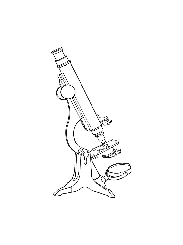 Микроскоп для биологии