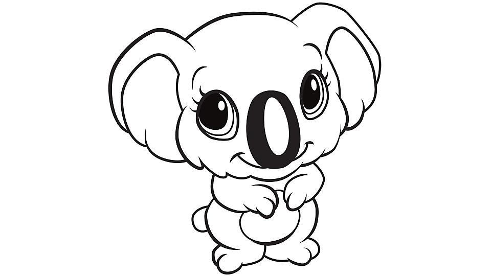 Милая коала