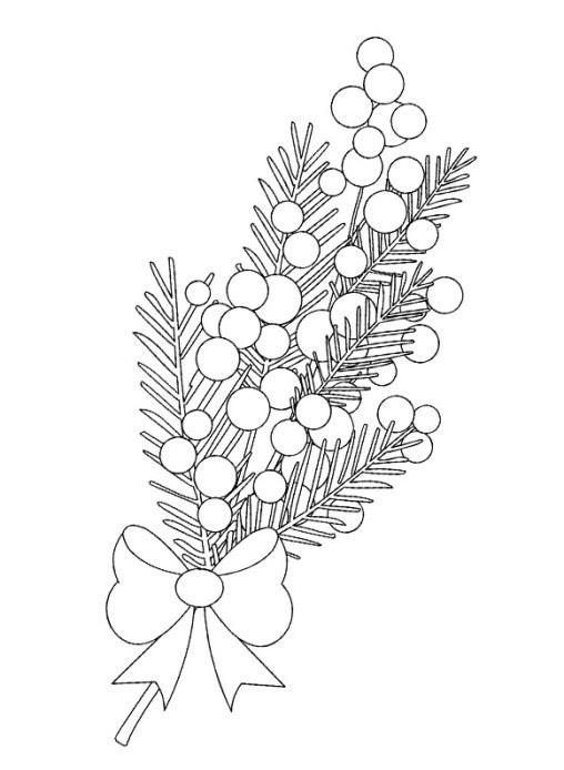 Мимоза с бантом