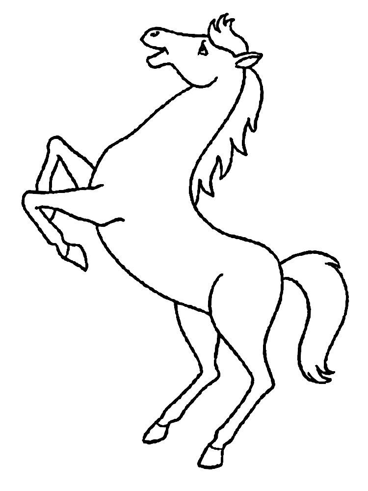 Молодая лошадь