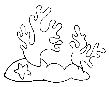 Морская звезда 2