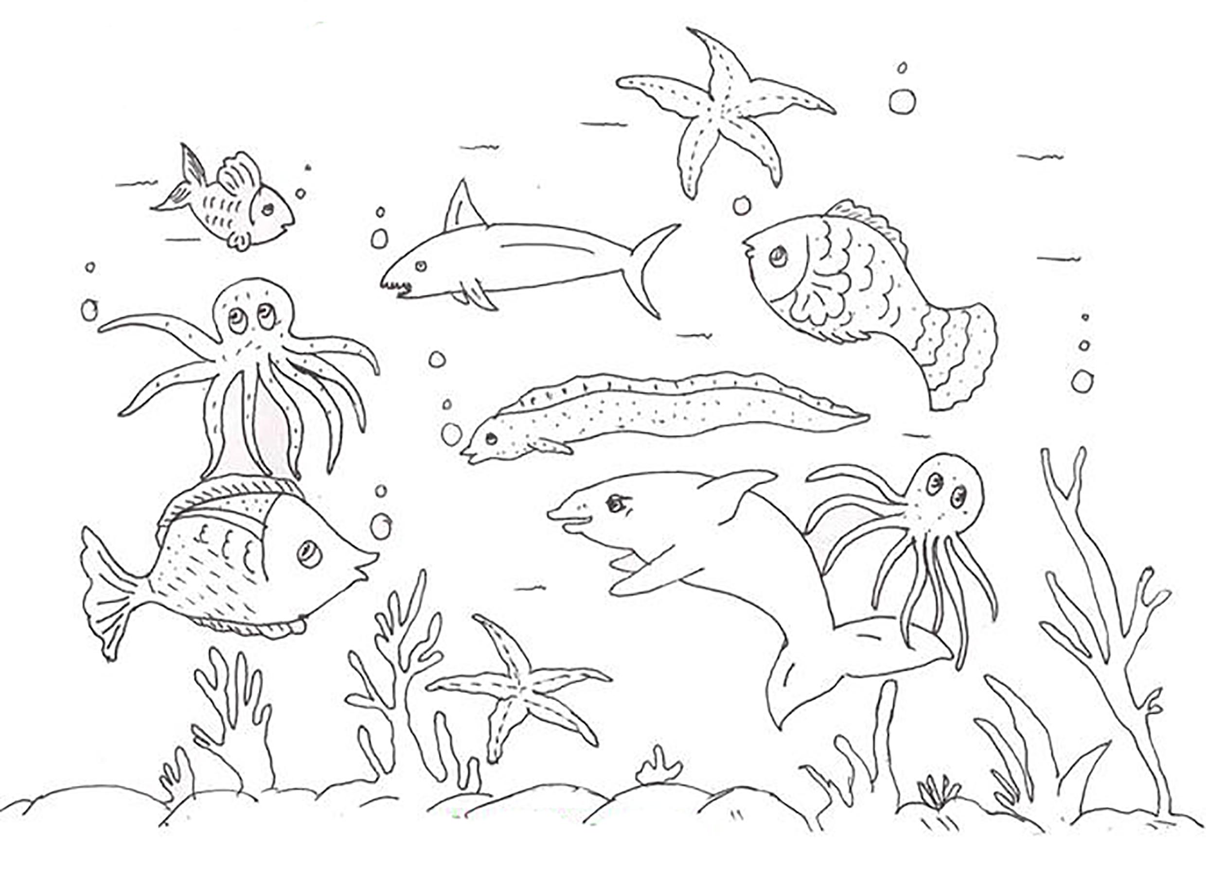 Морское дно
