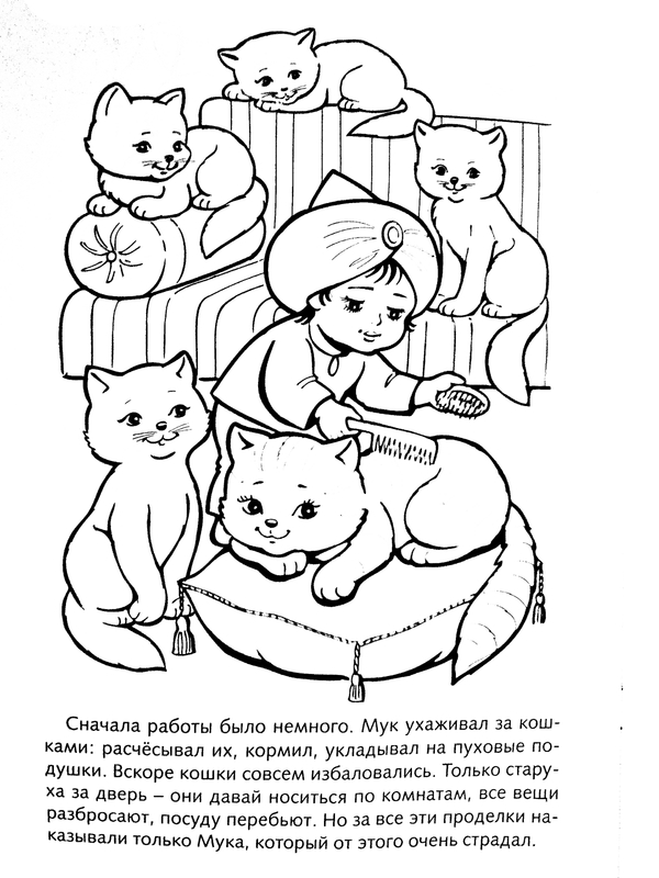 Мук и котики