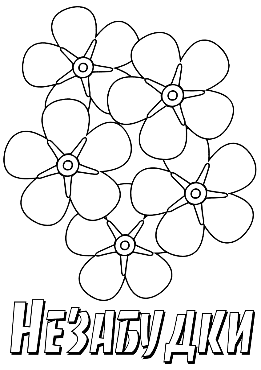 Незабудка 2