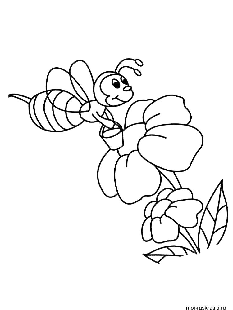 Пчела опыляет цветок