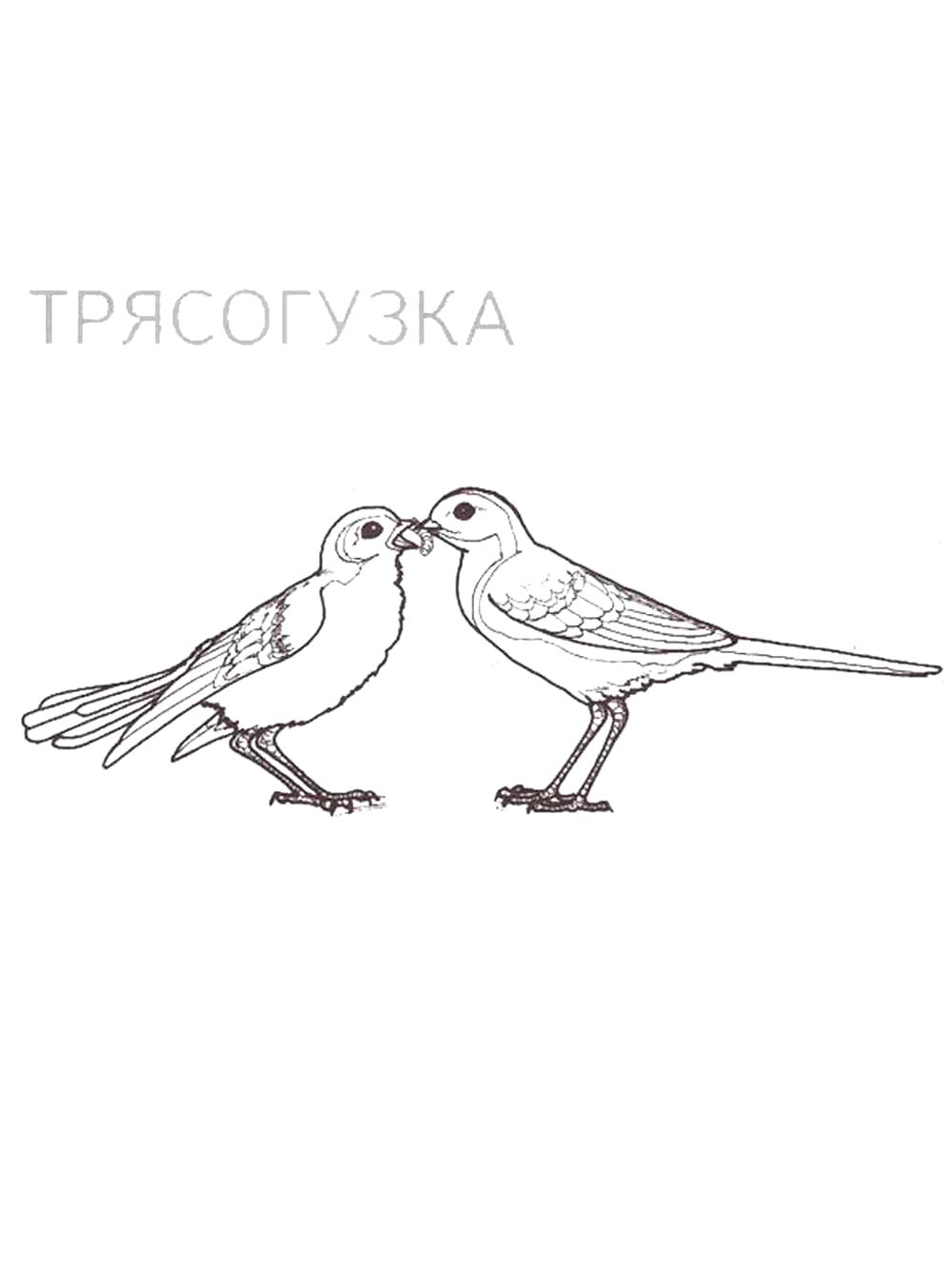 Перелетные птиц черно-белая раскраска