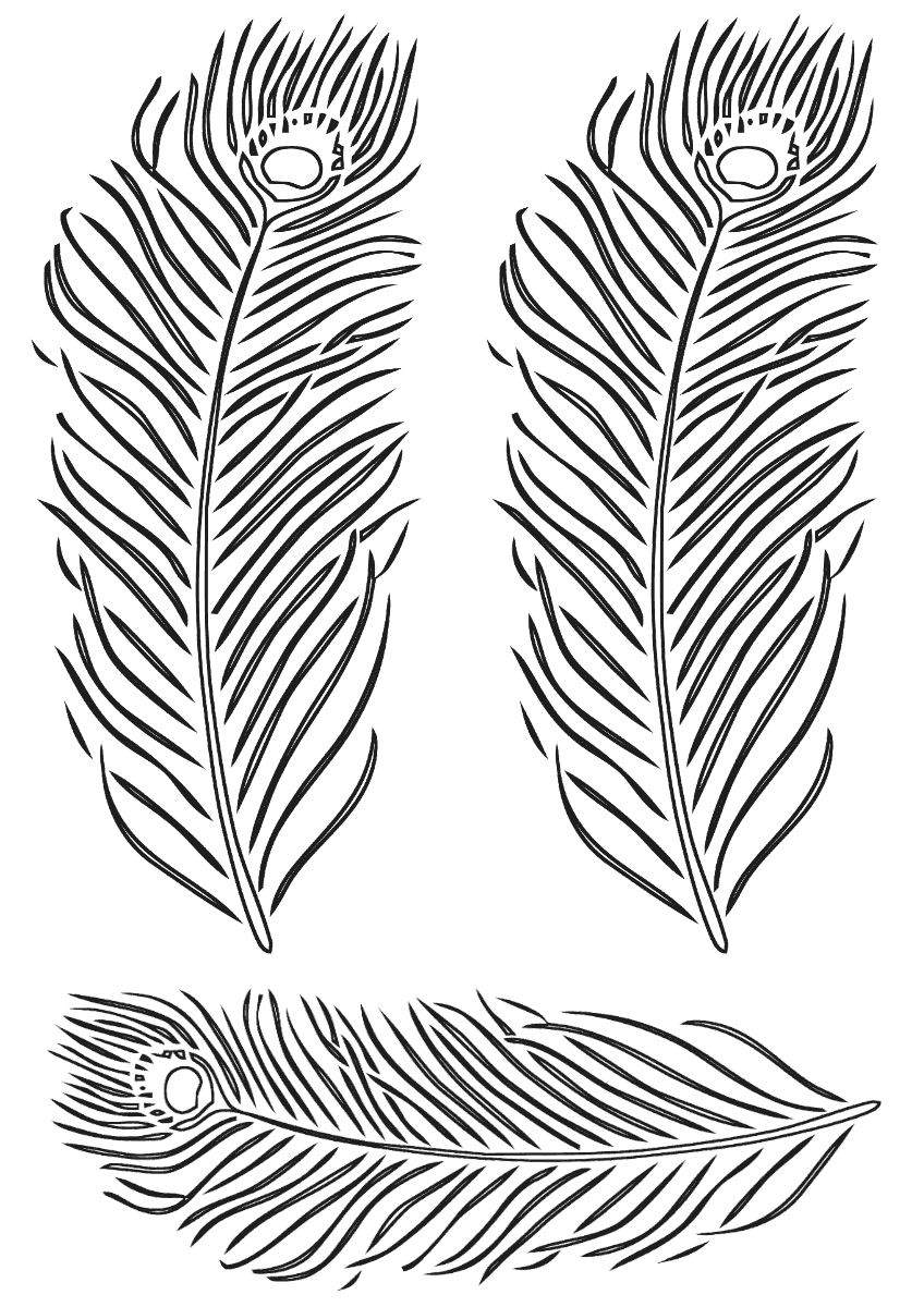 Перья павлина