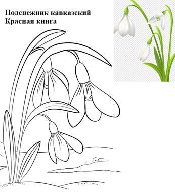 Подснежник