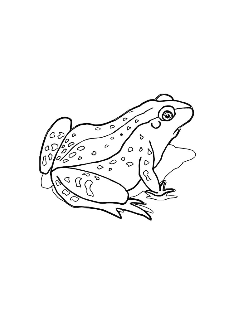 Прыткая лягушка