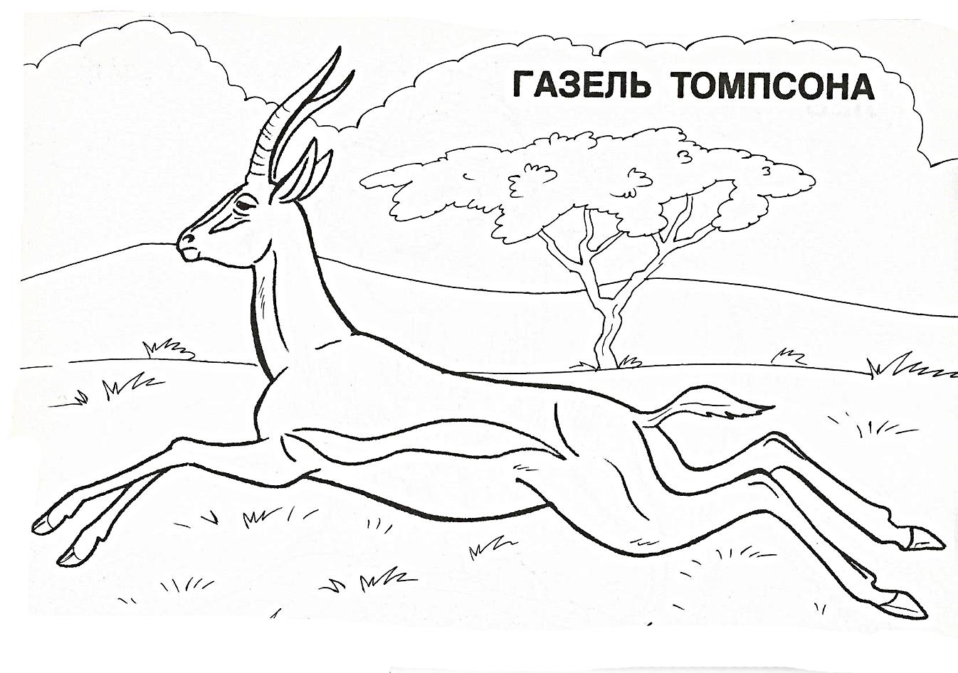 Прыжок 2