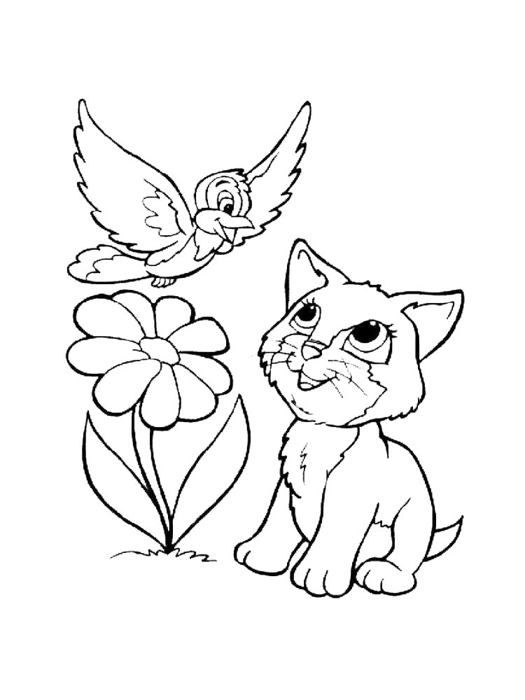 Птичка с котенком