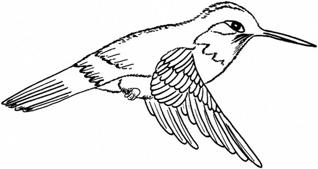 Птица 2