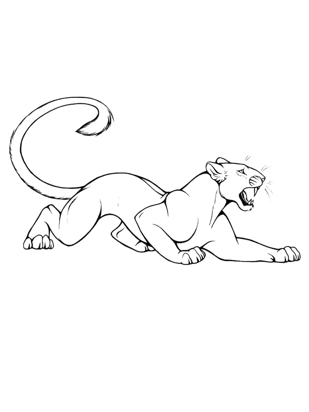 Раскраска Дикие Кошки 2