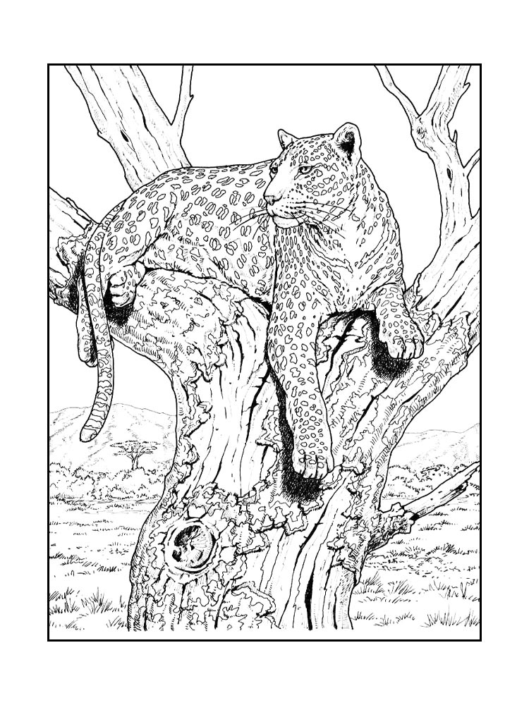 Раскраска Дикие Кошки 2