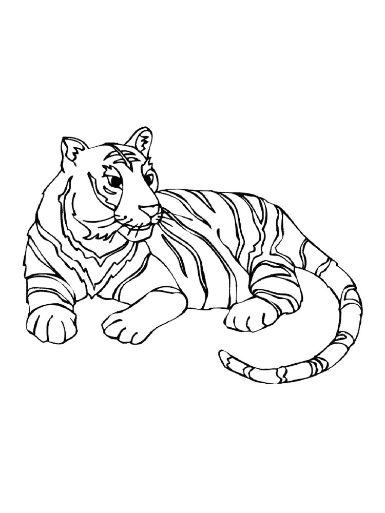 Раскраска Дикие Кошки 2