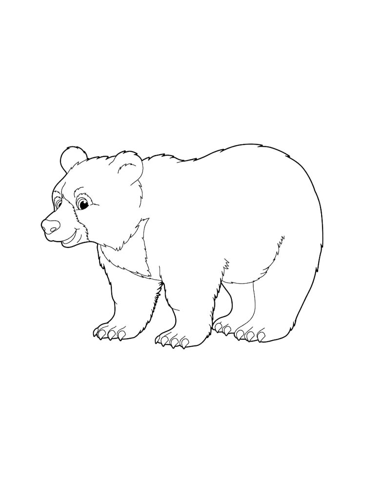 Раскраска дикие животные 2