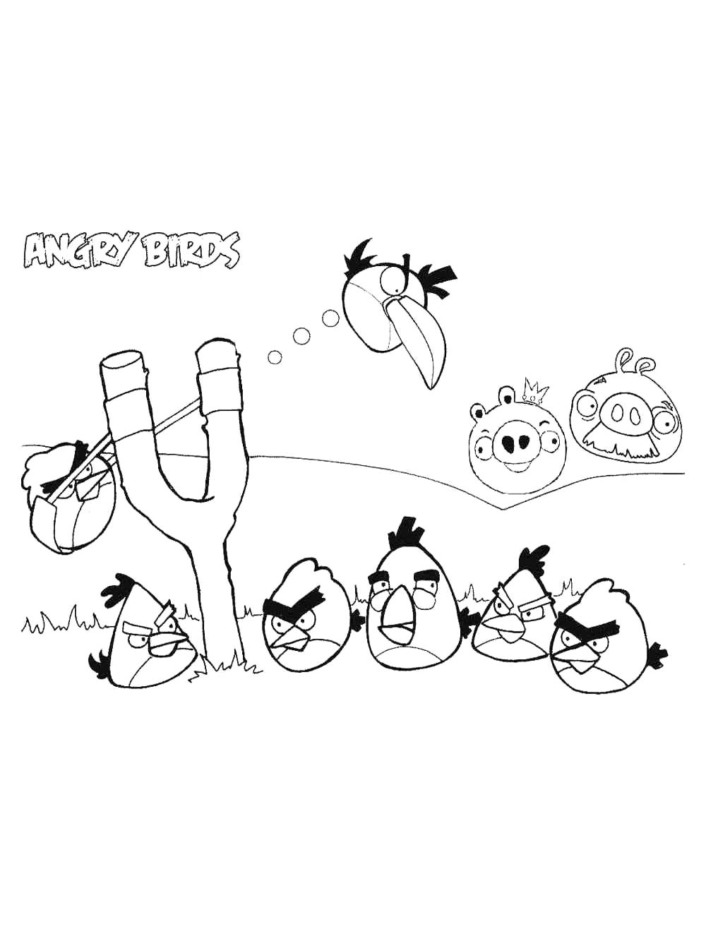 Раскраска Энгри Бердз (Angry Birds) 2