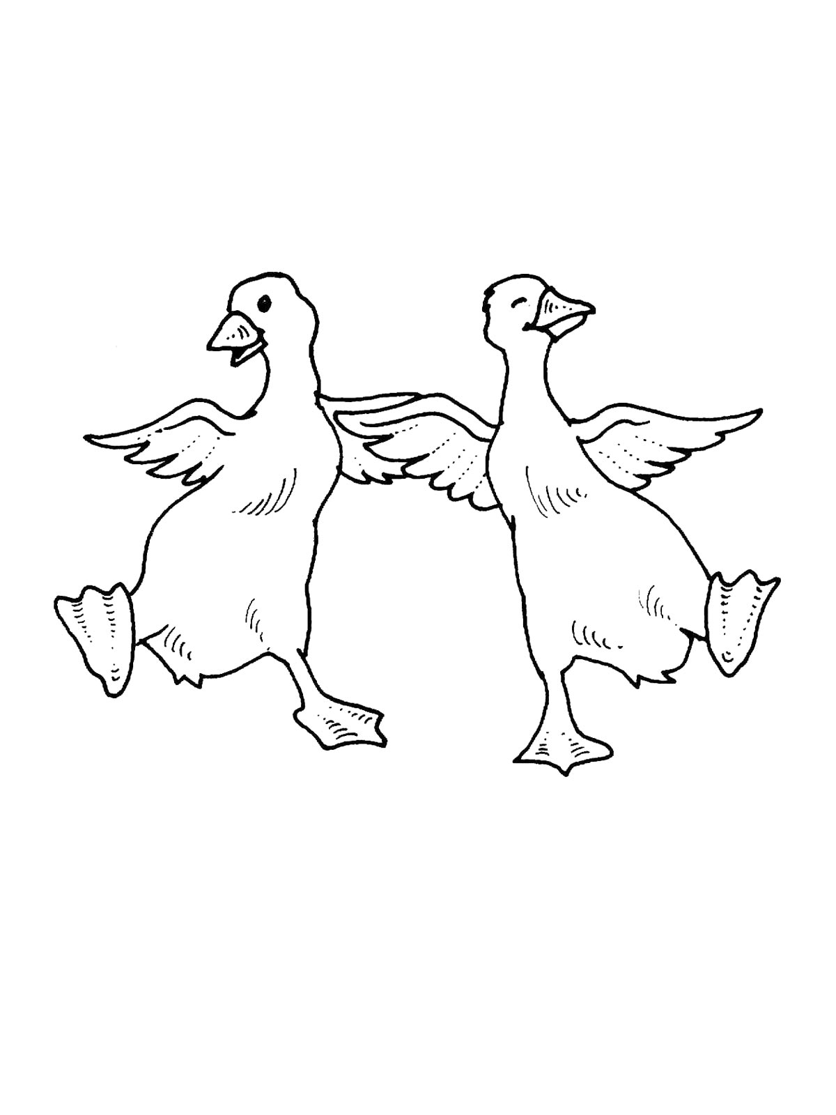 Раскраска гусь 2 2