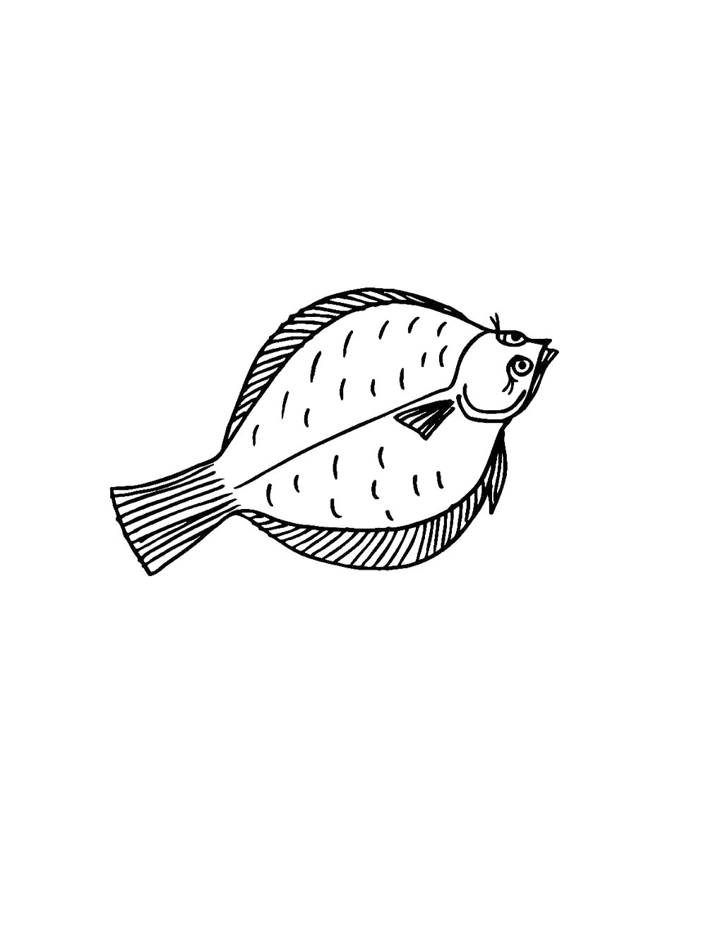 Раскраска камбала для детей