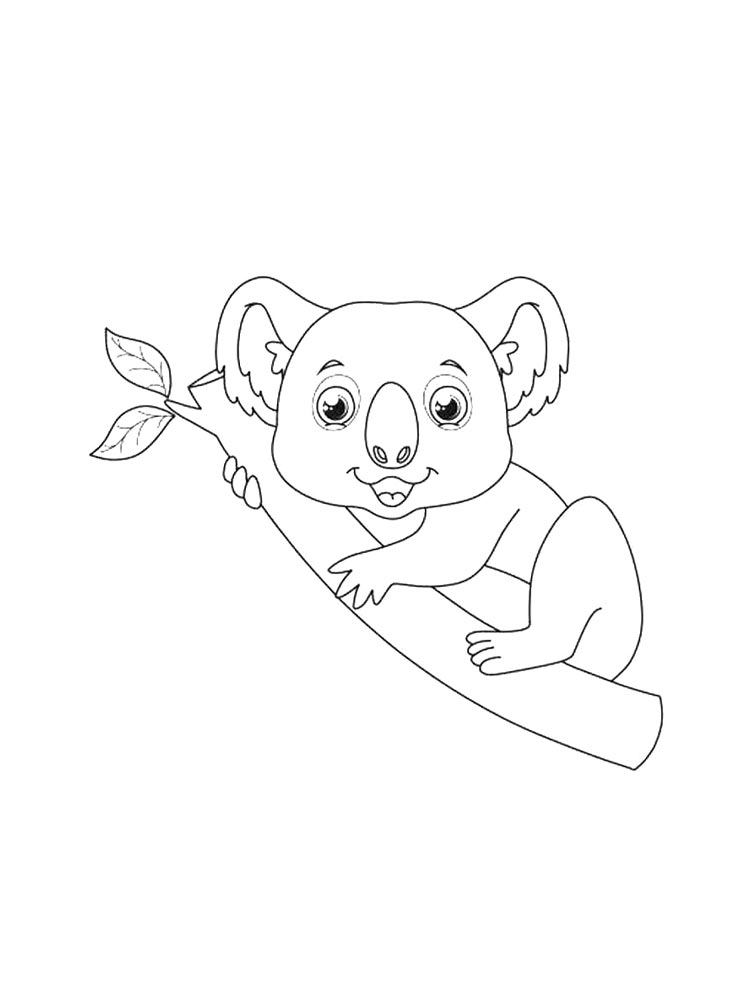 Раскраска коала для детей